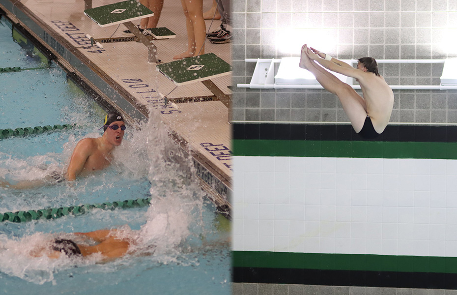 Daw and Ellis Earn PrestoSports Men's Swimming and Diving Weekly Honors