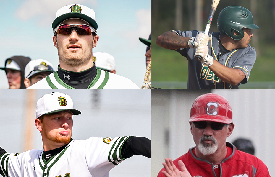 2022 Baseball League Awards Released