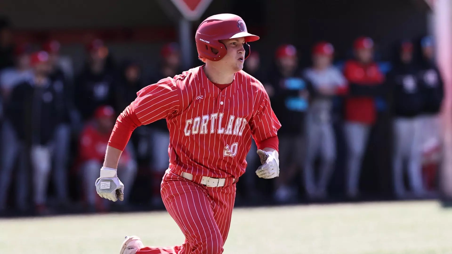 Red Dragons Runner-up at NCAA Regional After 4-3 Loss to #8/9 Kean