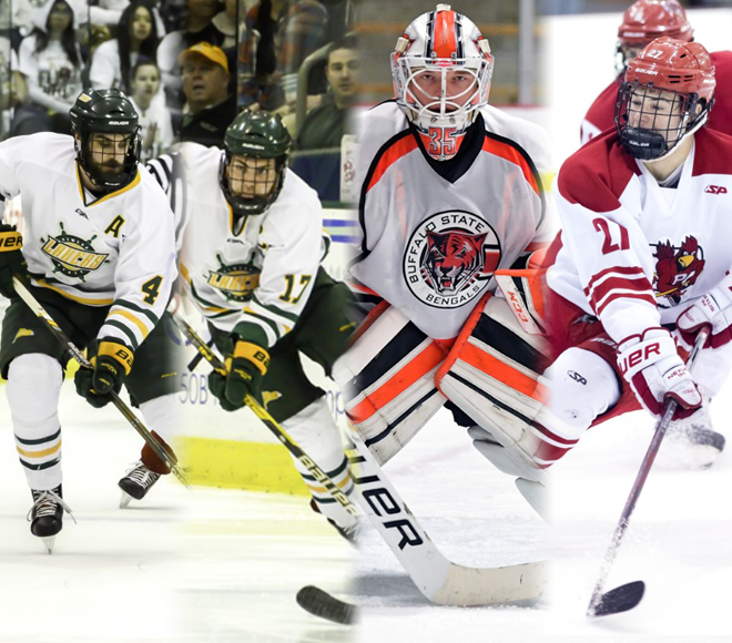 SUNYC announces men's ice hockey top awards