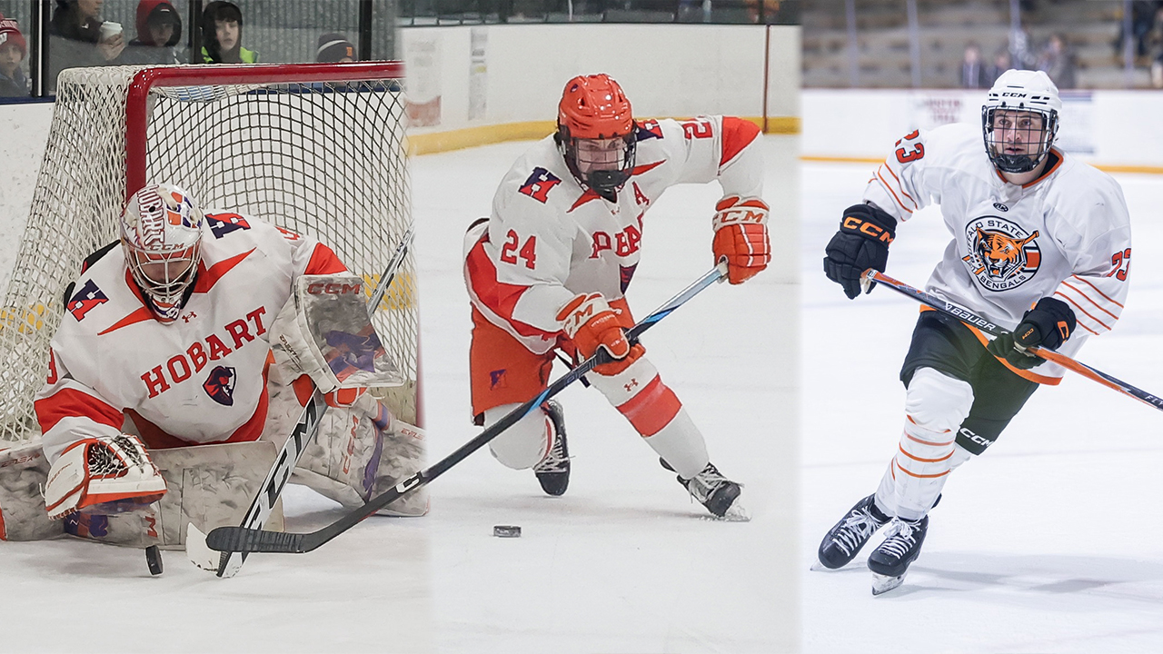 SUNYAC Releases 2026 Men's Ice Hockey Individual  Awards