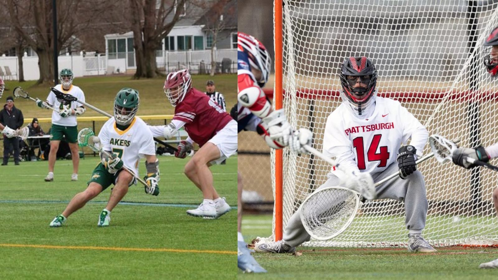 Elston and Orehosky Secure SUNYAC Men's Lacrosse Weekly Honors