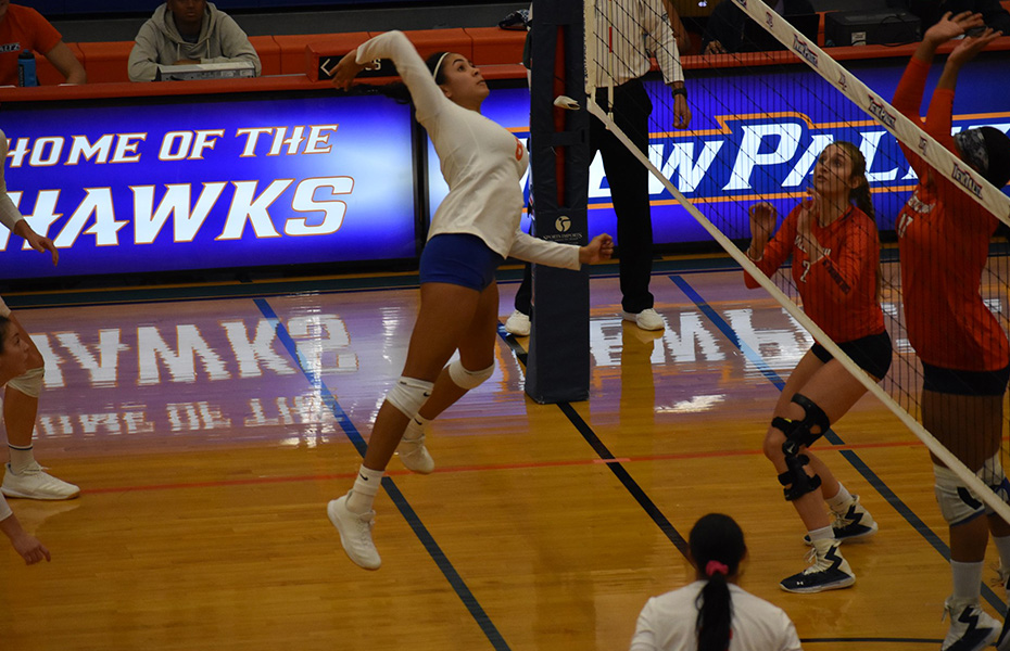 Senior Spotlight: Demi Herasme