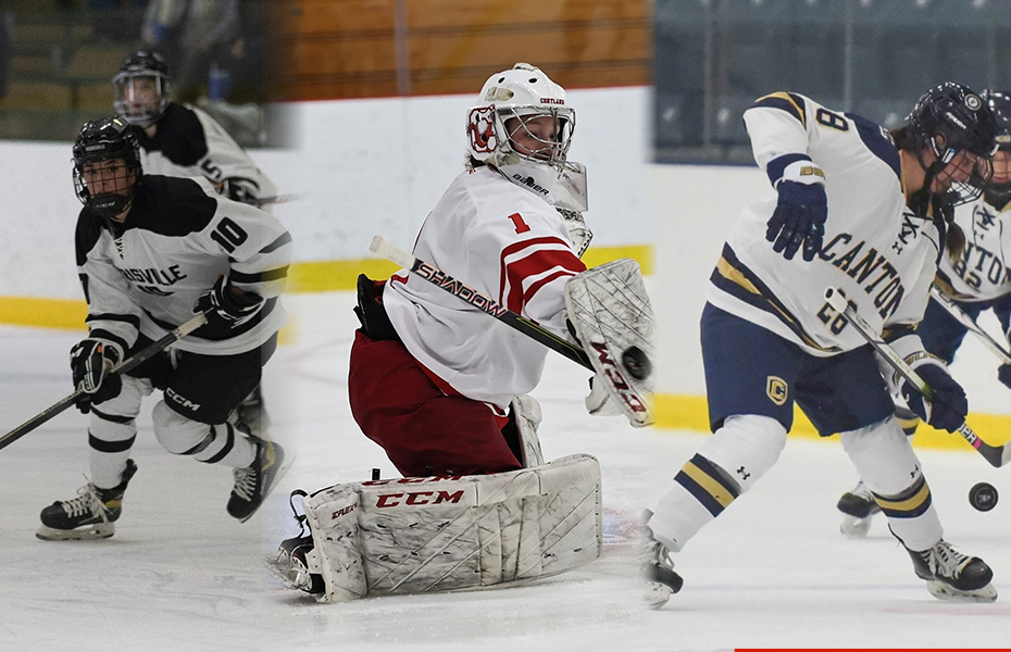Davidson, Goergen and Cote Collect SUNYAC Women's Ice Hockey Weekly Awards
